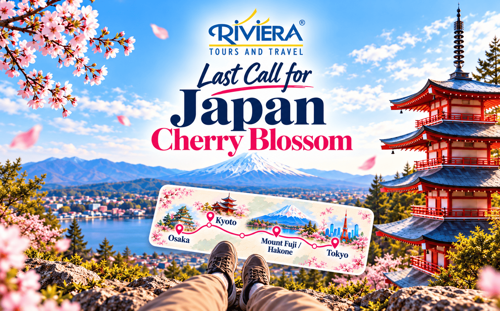 Japan Cherry Blossom
